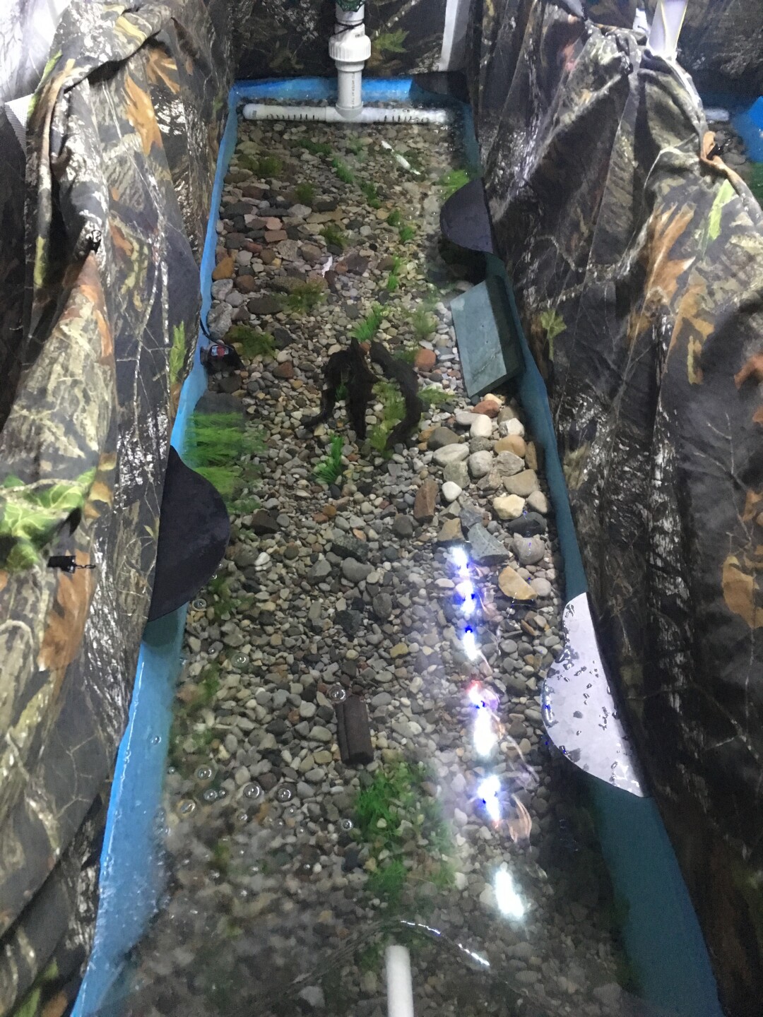 2019 competition trial stream