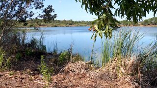 Property located between Interstate 95 and Rosser Boulevard in Port St. Lucie on Feb. 20, 2026