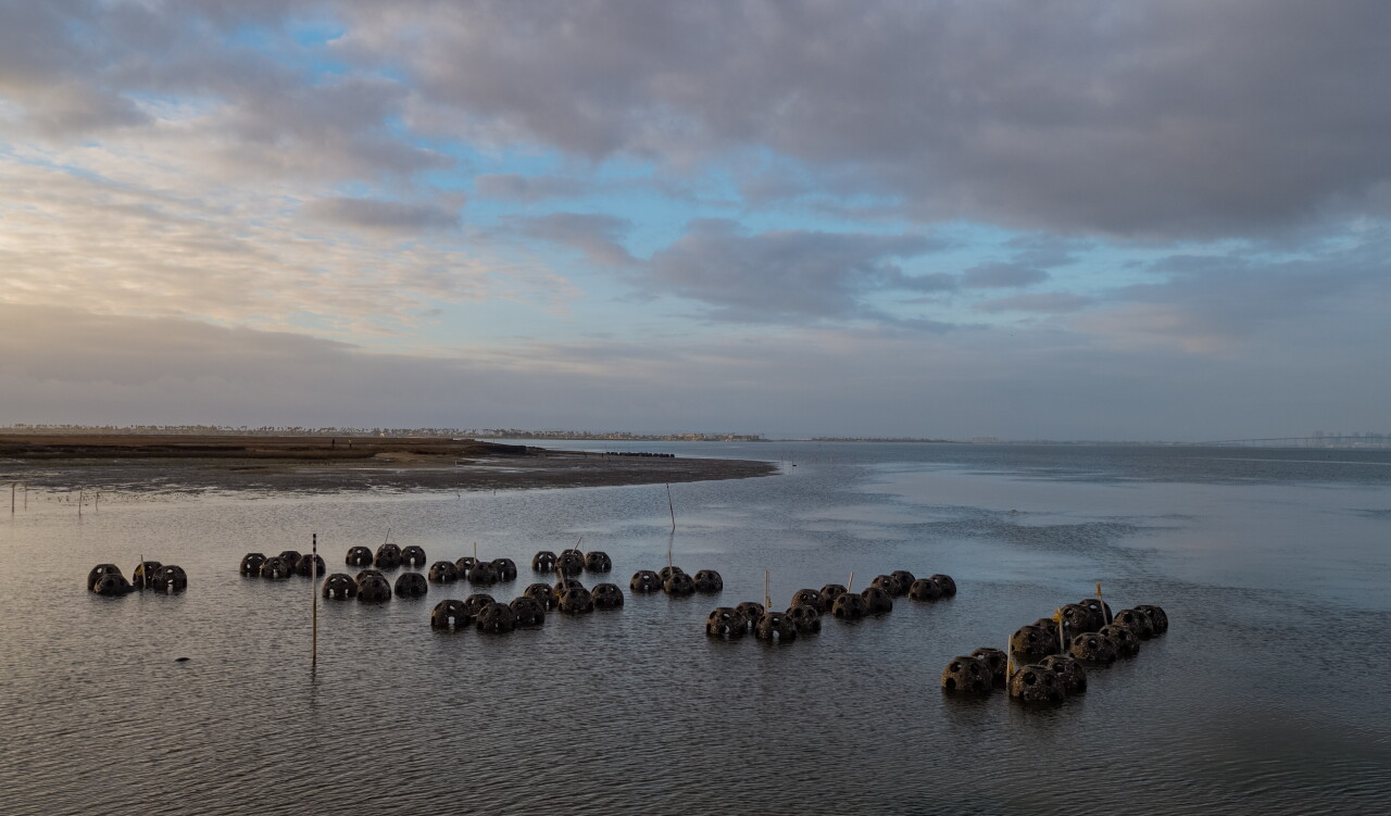 20211208_Chula-Vista-Bayfront_Reef-Balls-382.jpg