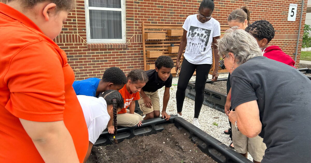 Homegrown Hillsborough gives everyone a chance to grow their own food - Vimarsana News
