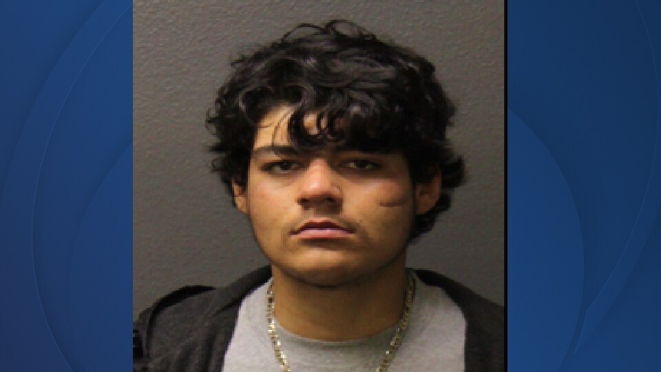 mugshot background 2021.jpg