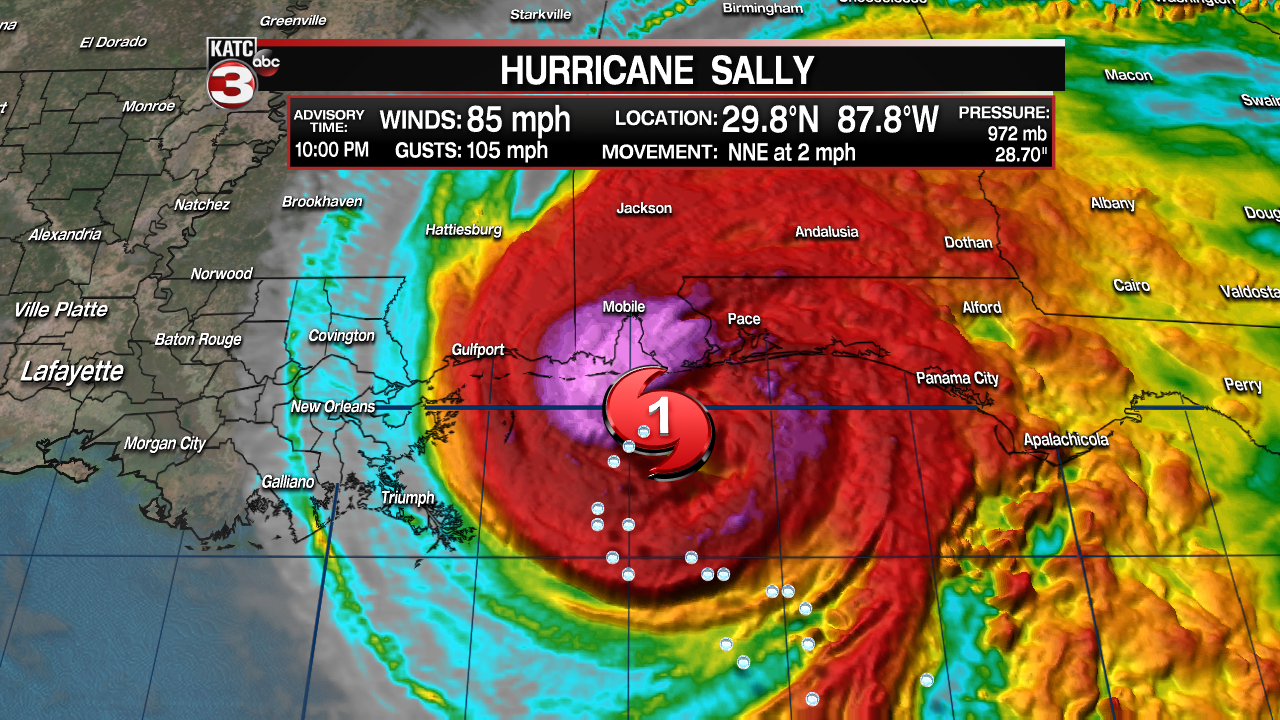 sally1.png