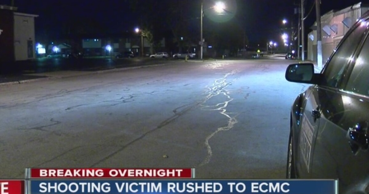 Lackawanna man arrested after fight with police