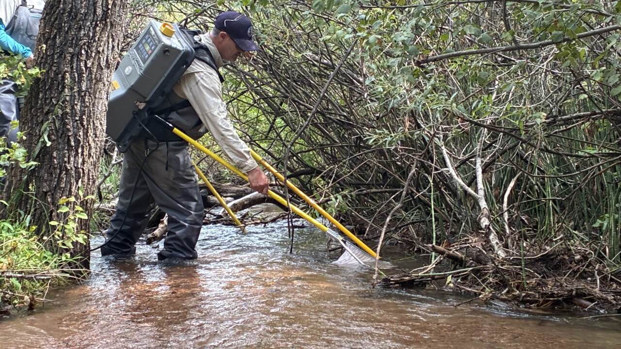 Electrofishing