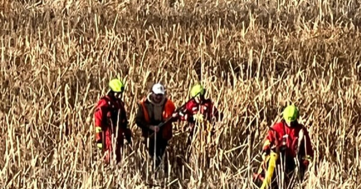 Utah duck hunter rescued after getting stuck in a marsh - Vimarsana News
