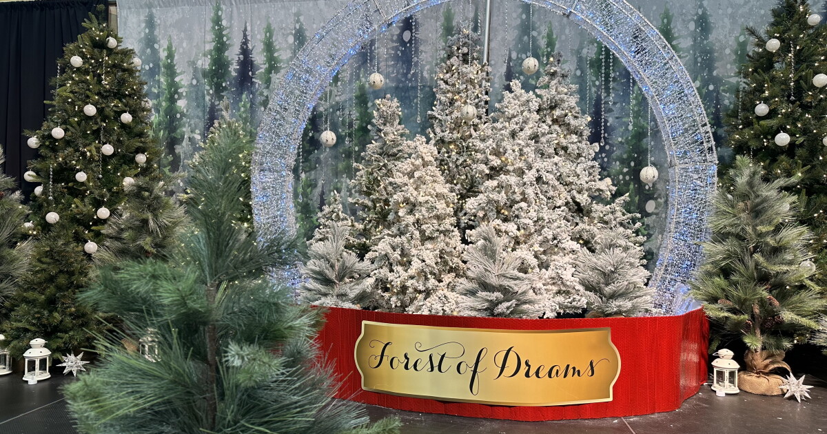 Intermountain's Festival of Trees for 36th year - Vimarsana News
