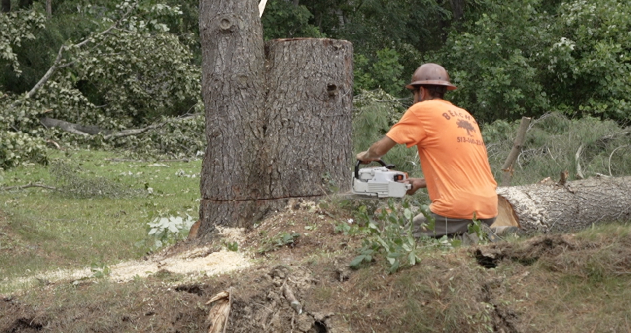 Crews using chainsaws to clear trees in Pierce Township