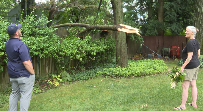 savatree tree cleanup storm