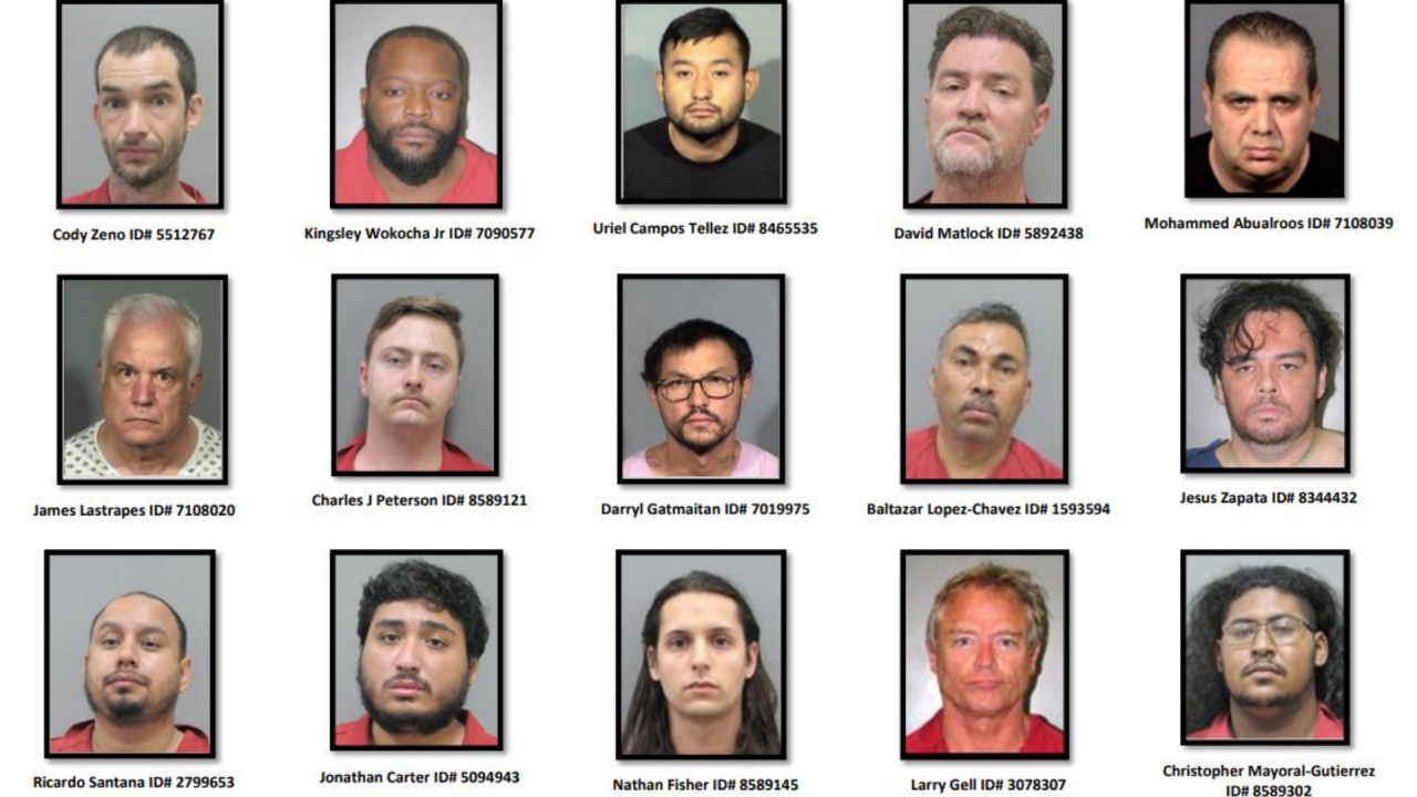 Las Vegas police make 15 arrests in online sex sting operation