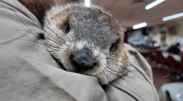 Screenshot 2026-02-02 at 4.40.46 PM.png