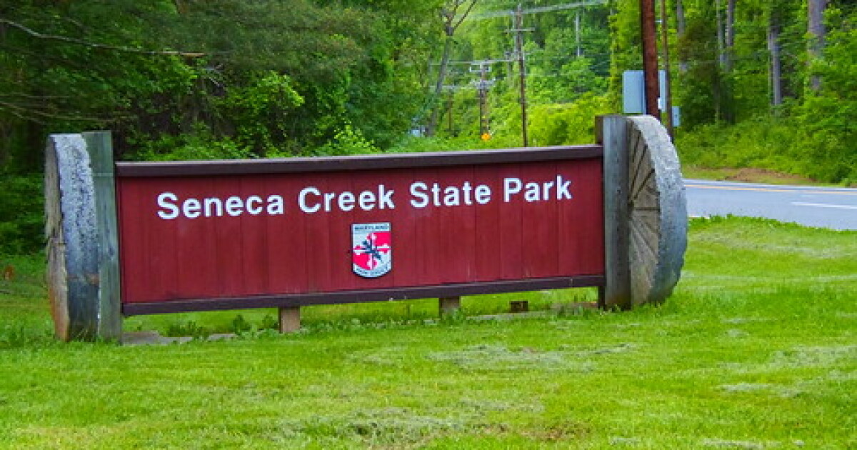 Beaver tests positive for rabies at Seneca Creek State Park