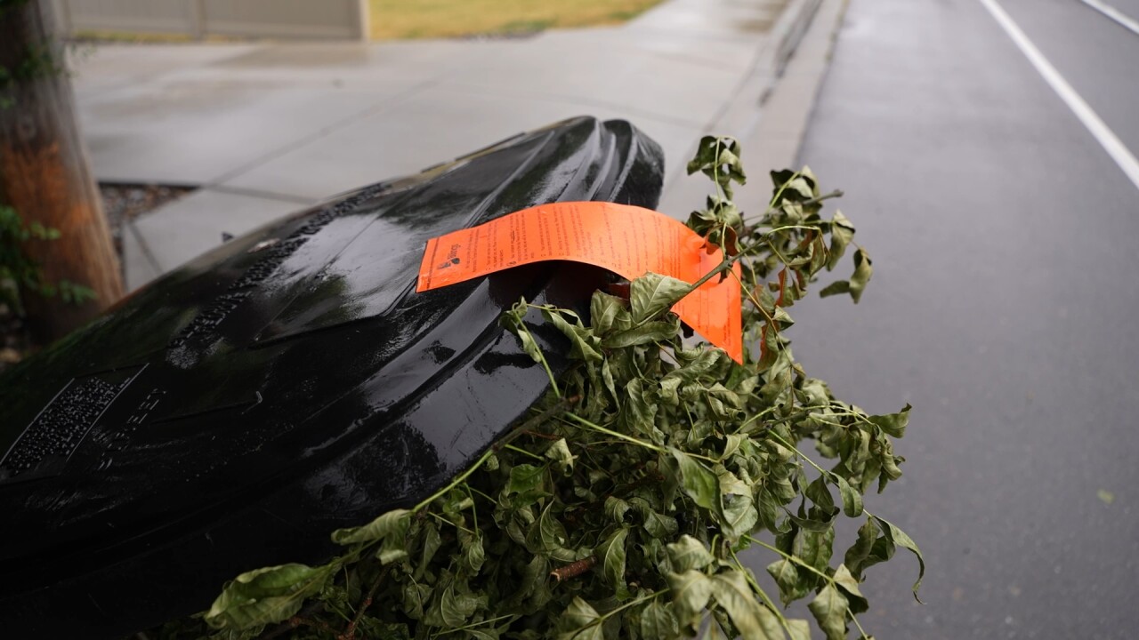 trash 6_2.19.1.jpg