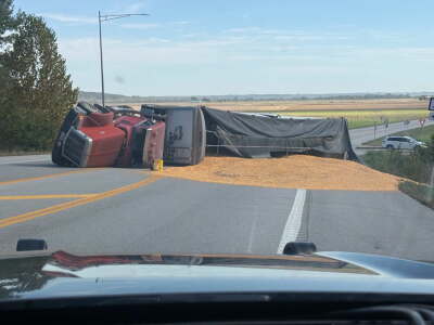 corn on 210.jpeg