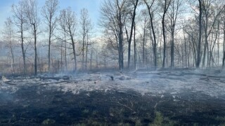 Juneau County wildfire