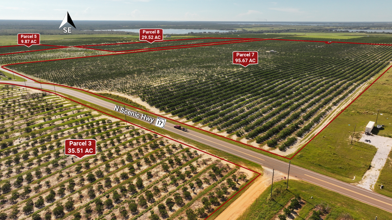584 acres of Polk County citrus groves heading to auction