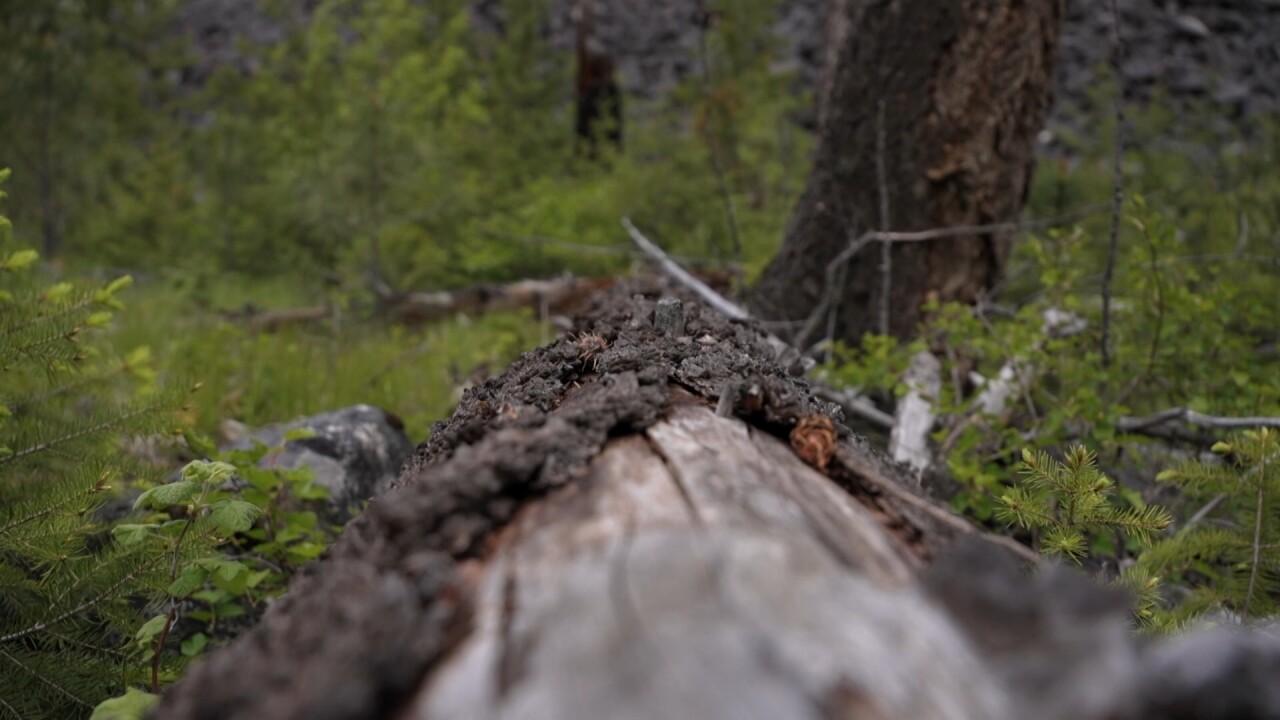 BLM CH RULE RESCISSION