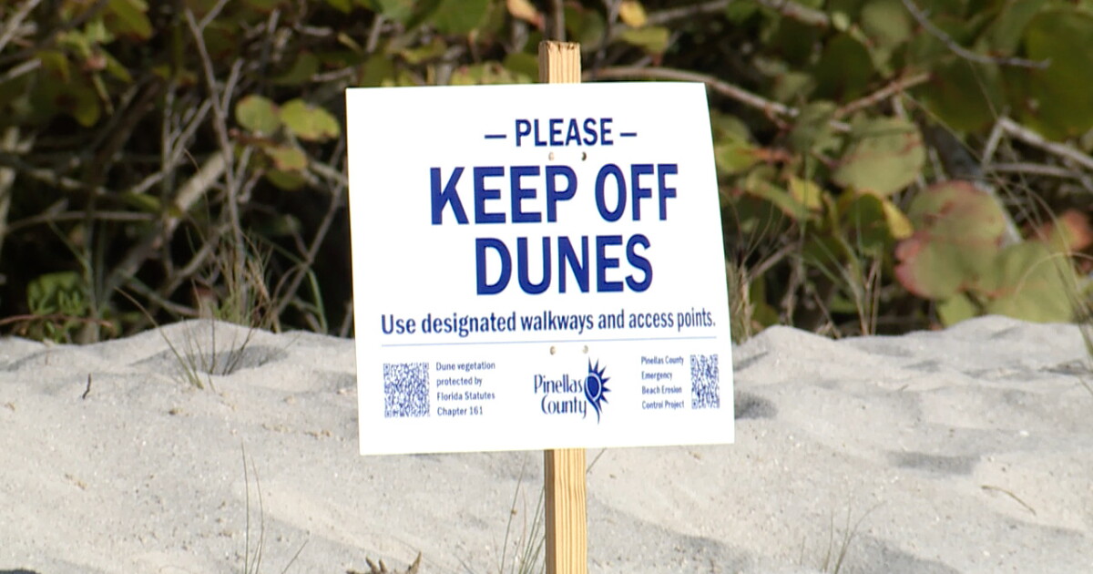 Sunset Beach in Treasure Island reopens after being closed for a month - Vimarsana News