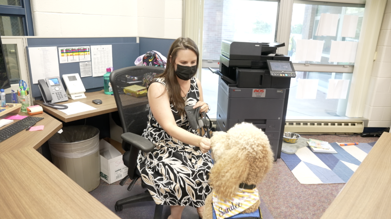 Sandee is getting a treat from his handler.
