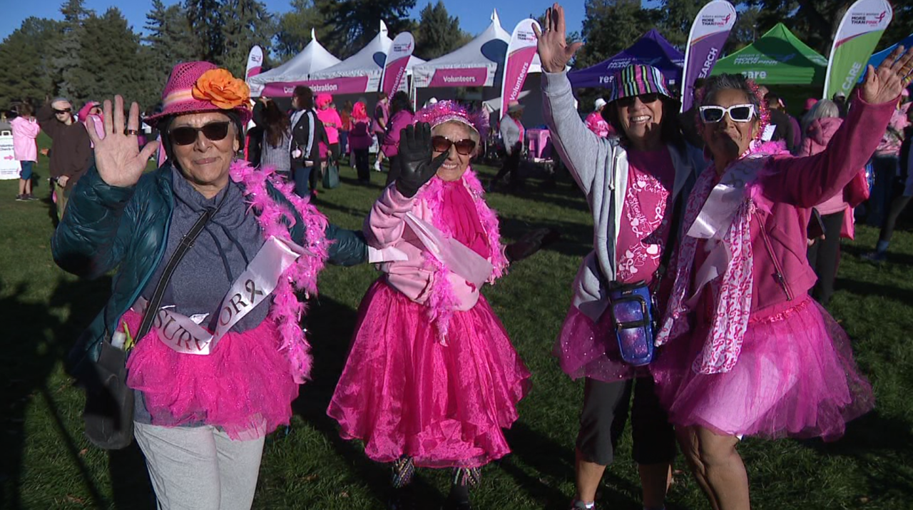 More Than Pink Walk