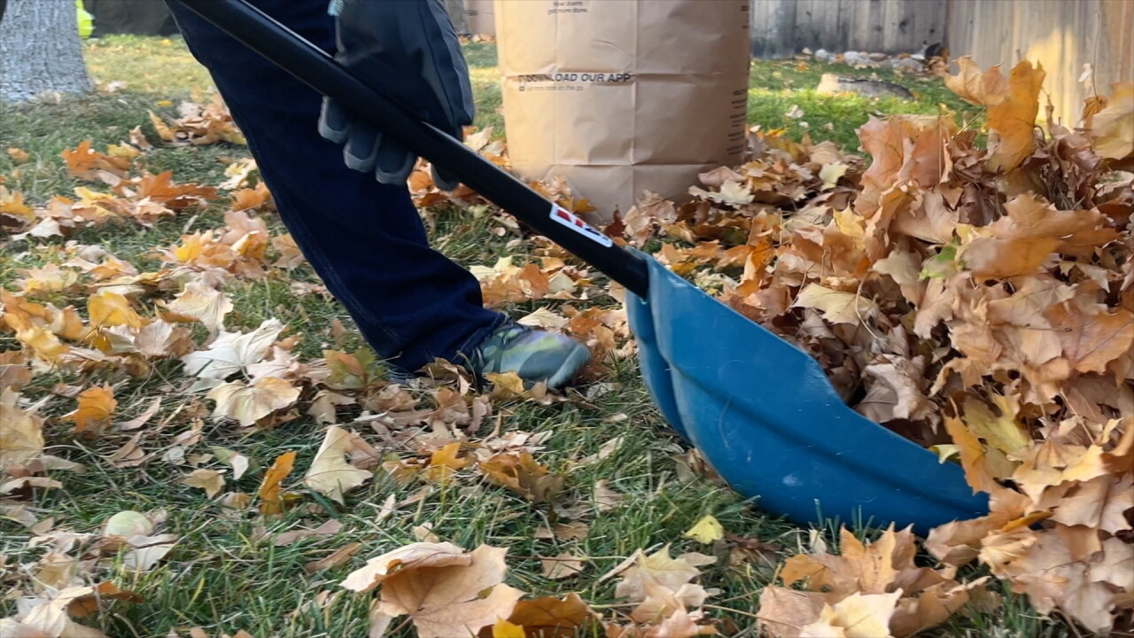 Fall Raking Volunteer Neighbors helping neighbors: Dozens of volunteers 'Rake up Meridian'
