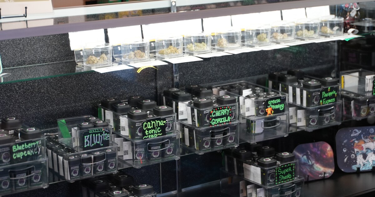 Montana marijuana businesses hope for federal rescheduling