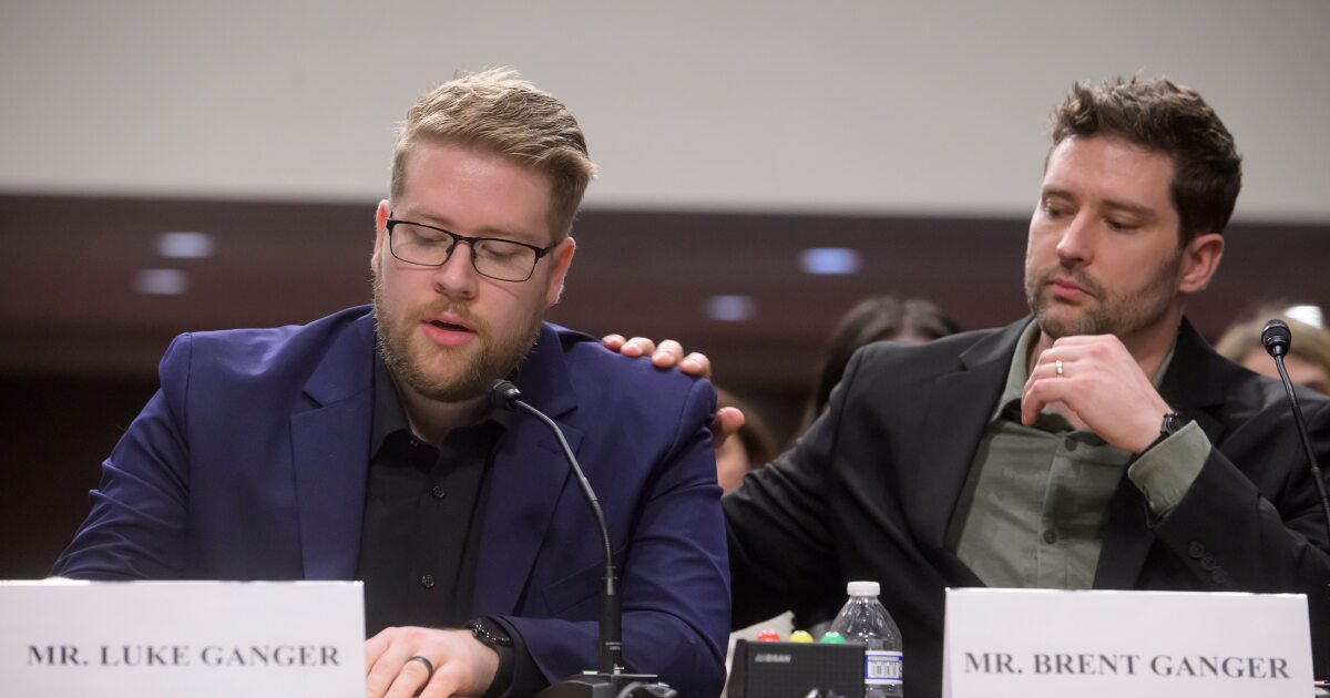 Renee Good's brothers speak with Congressional panel about her death