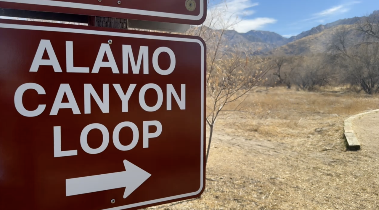 Alamo Canyon Loop