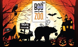 Boo-2015-web-300x182.jpg