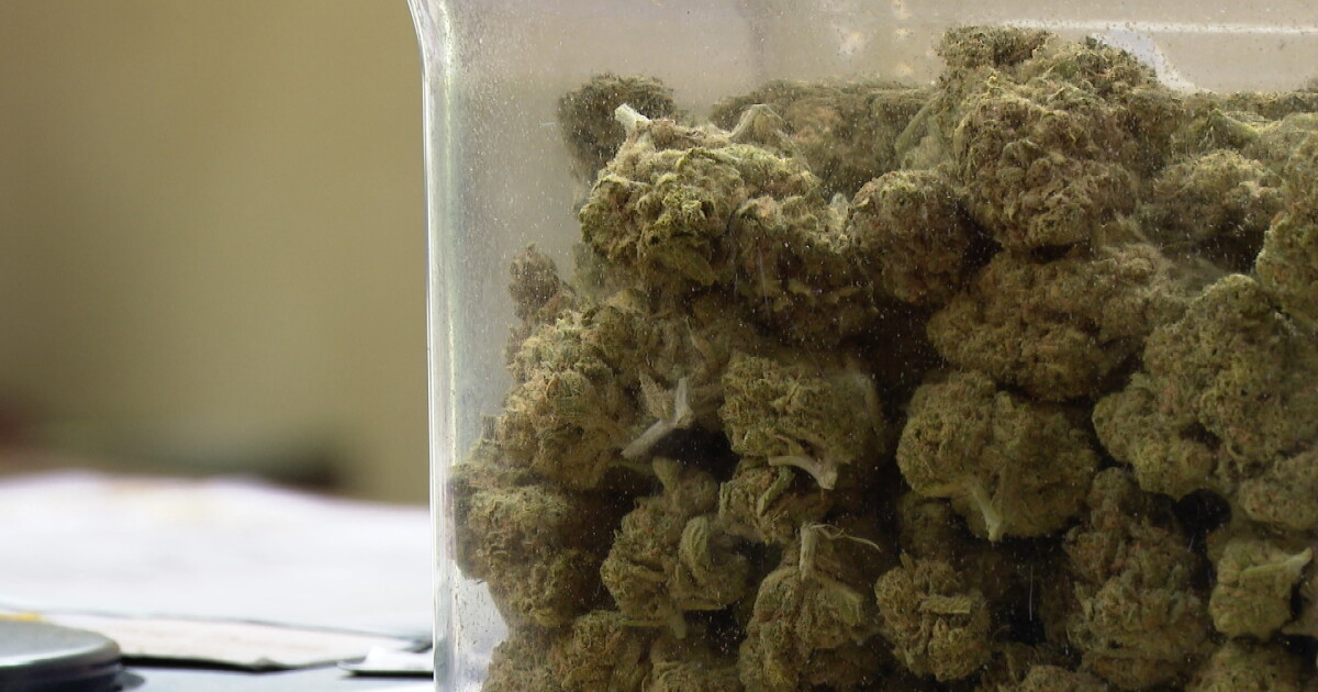 Federal health officials pushing to reclassify marijuana as lower risk drug - Vimarsana News