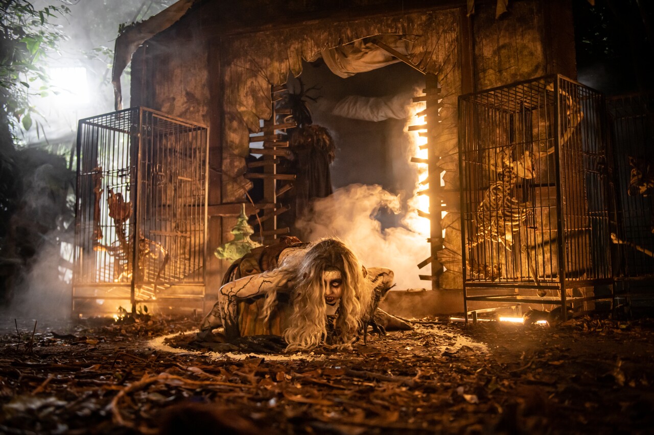 Howl-O-Scream