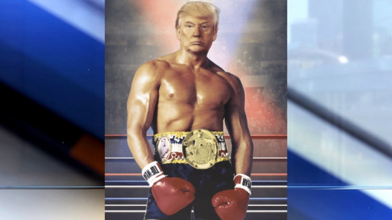 Rocky Boxer Rocky Boxer