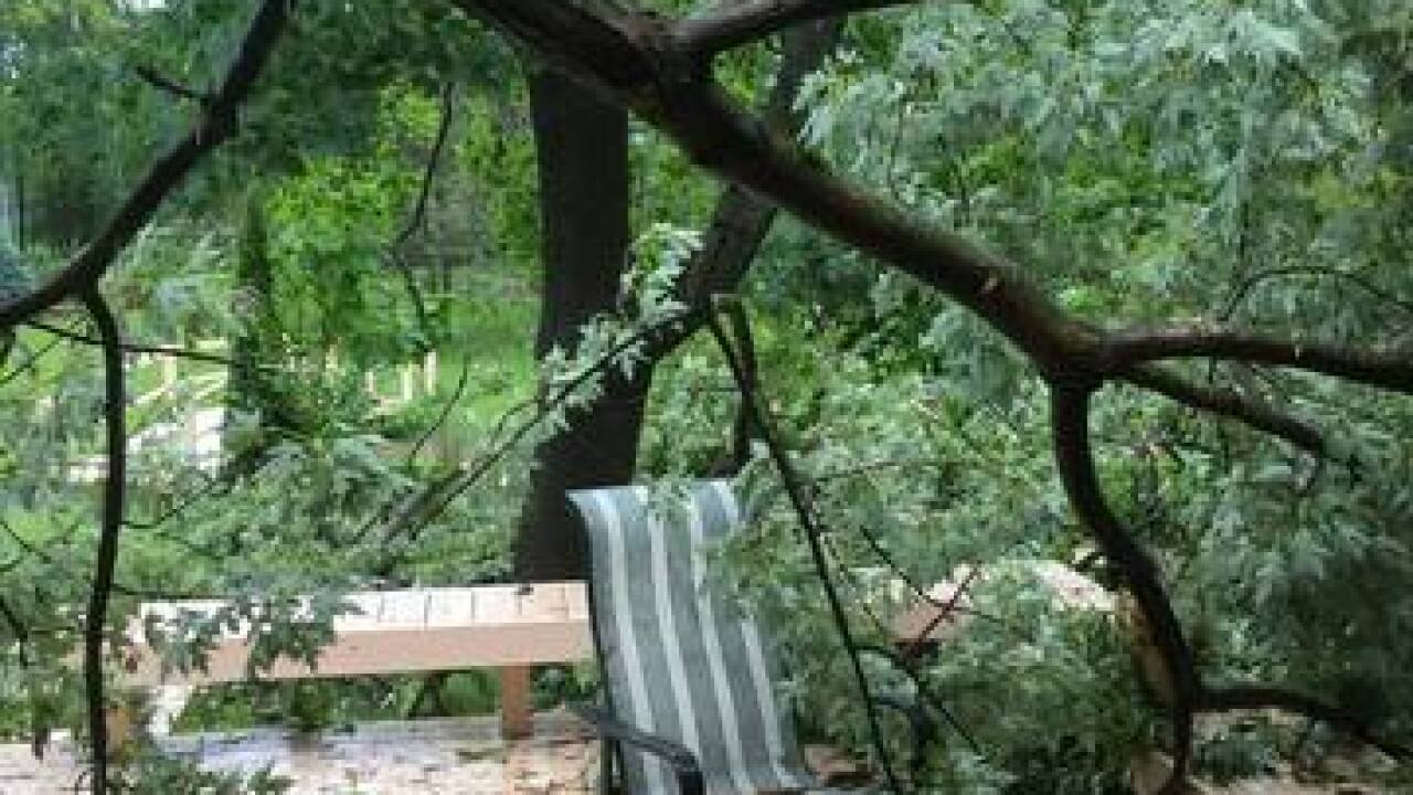 PHOTOS: Ominous clouds, downed trees, flooding