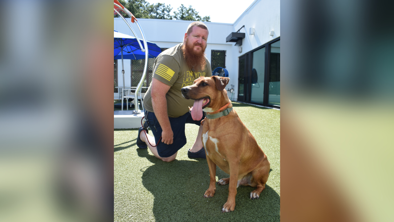 Elbee finds new home with SCOTT HUMANE SOCIETY OF TAMPA BAY.png