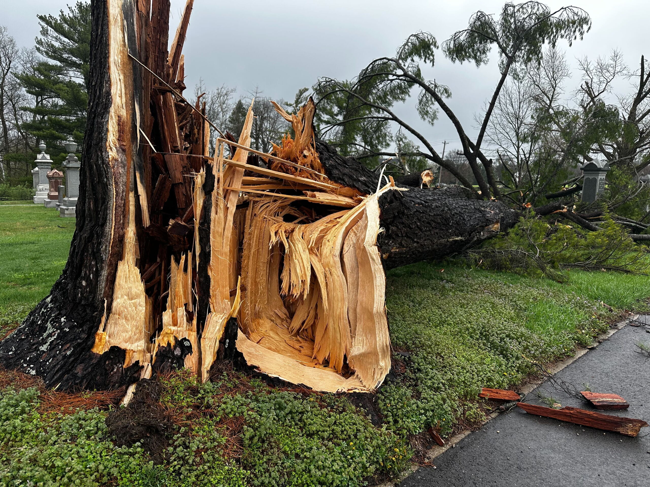 Several reports of damage after strong storms blow through Tri-State