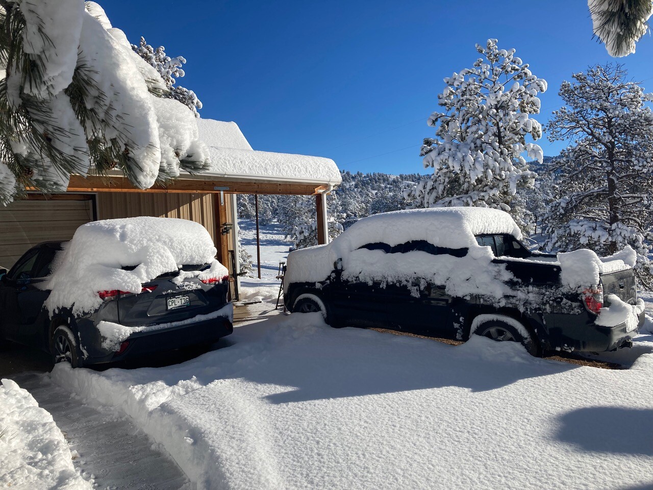 Douglas Young Florissant snow