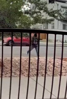 US Postal Inspection Service offering $150,000 reward following armed robbery of USPS letter carrier in Denverjpg