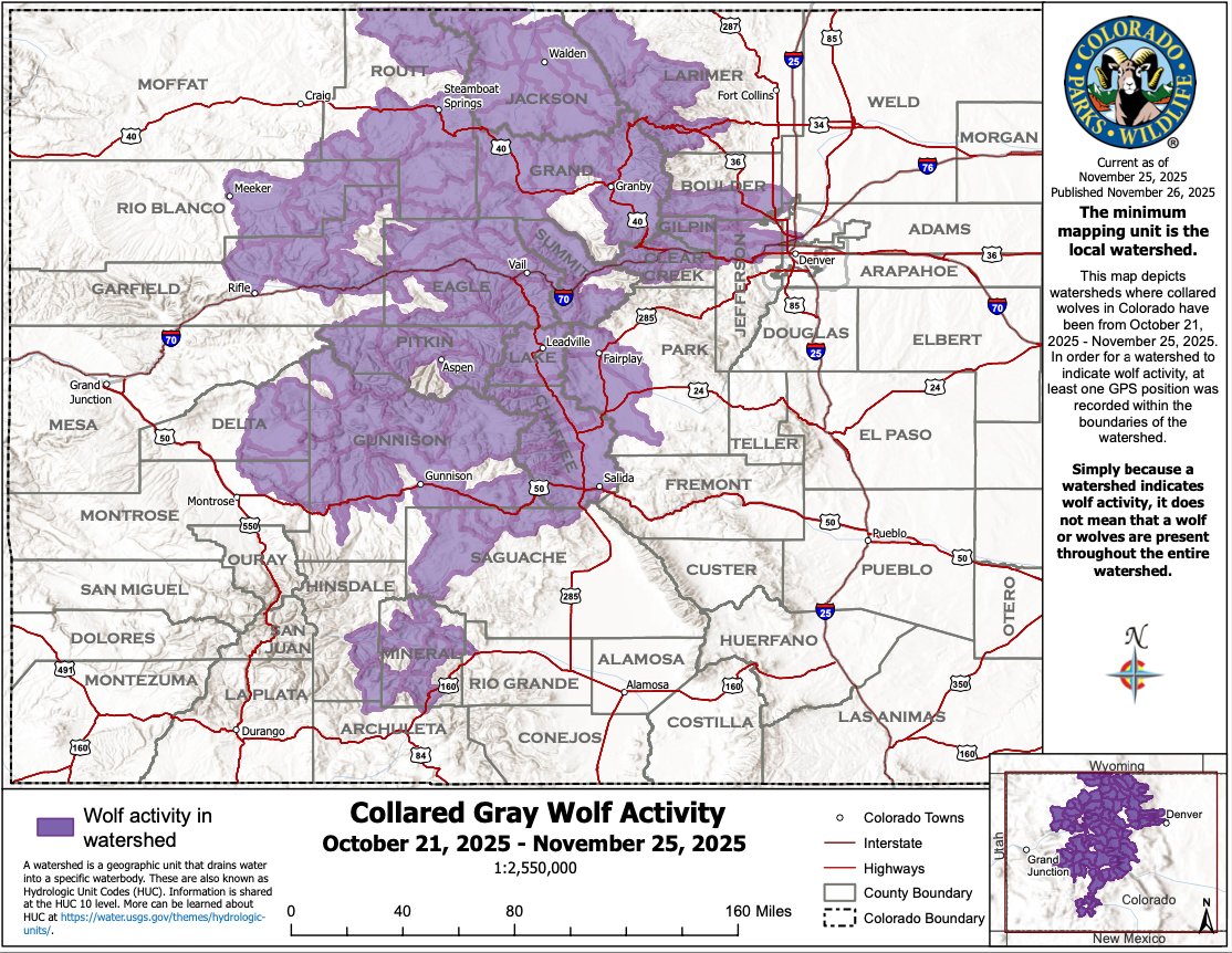 Oct 21-Nov 25 2025 wolf movement map
