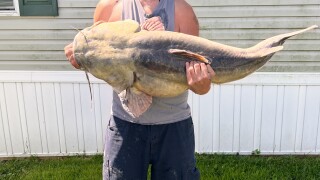 state record flathead catfish