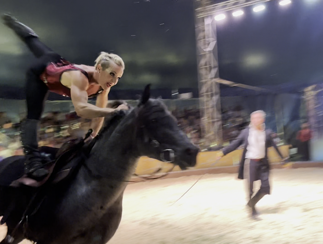 Cirque Ma’Ceo trick rider finds 'sweetest thing on tour' in show horse