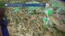Sunny, Hot and Windy Tomorrow