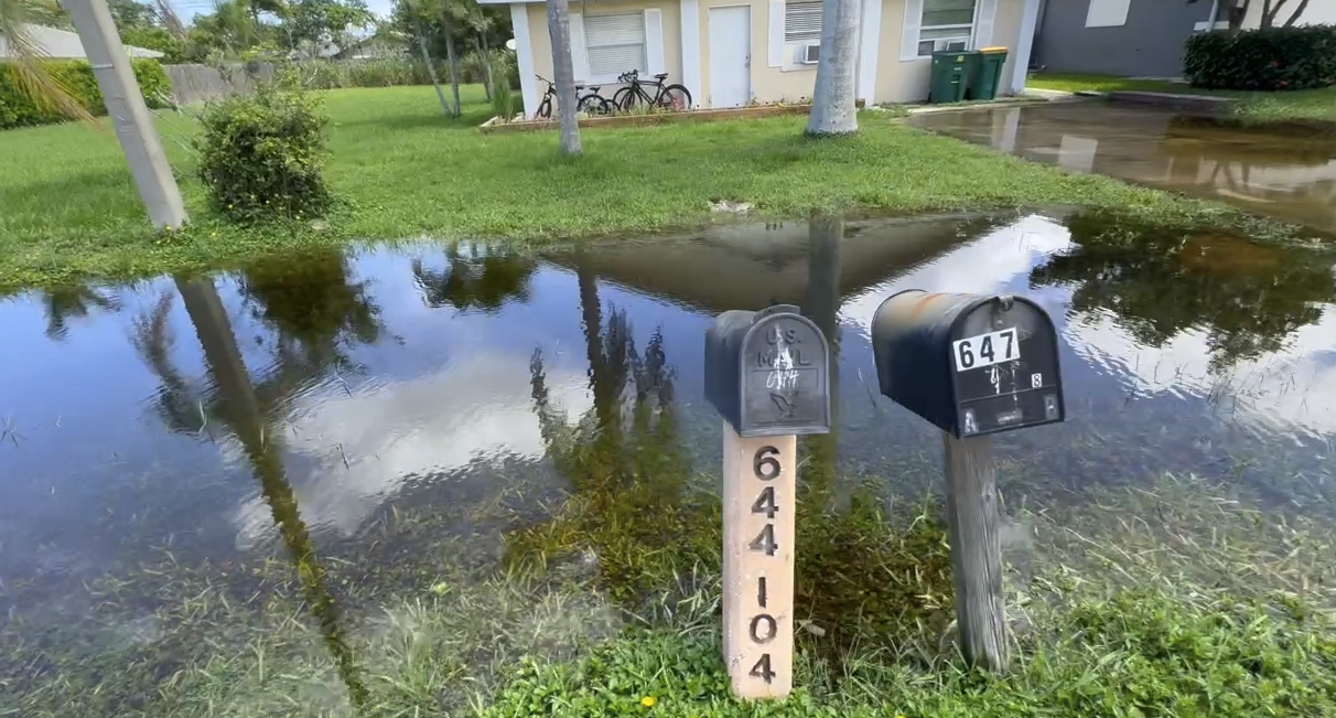 Naples Park Flooding