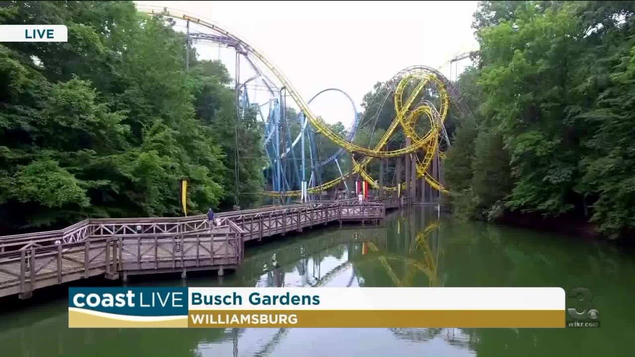The Travel Mom visits Williamsburg on Coast Live