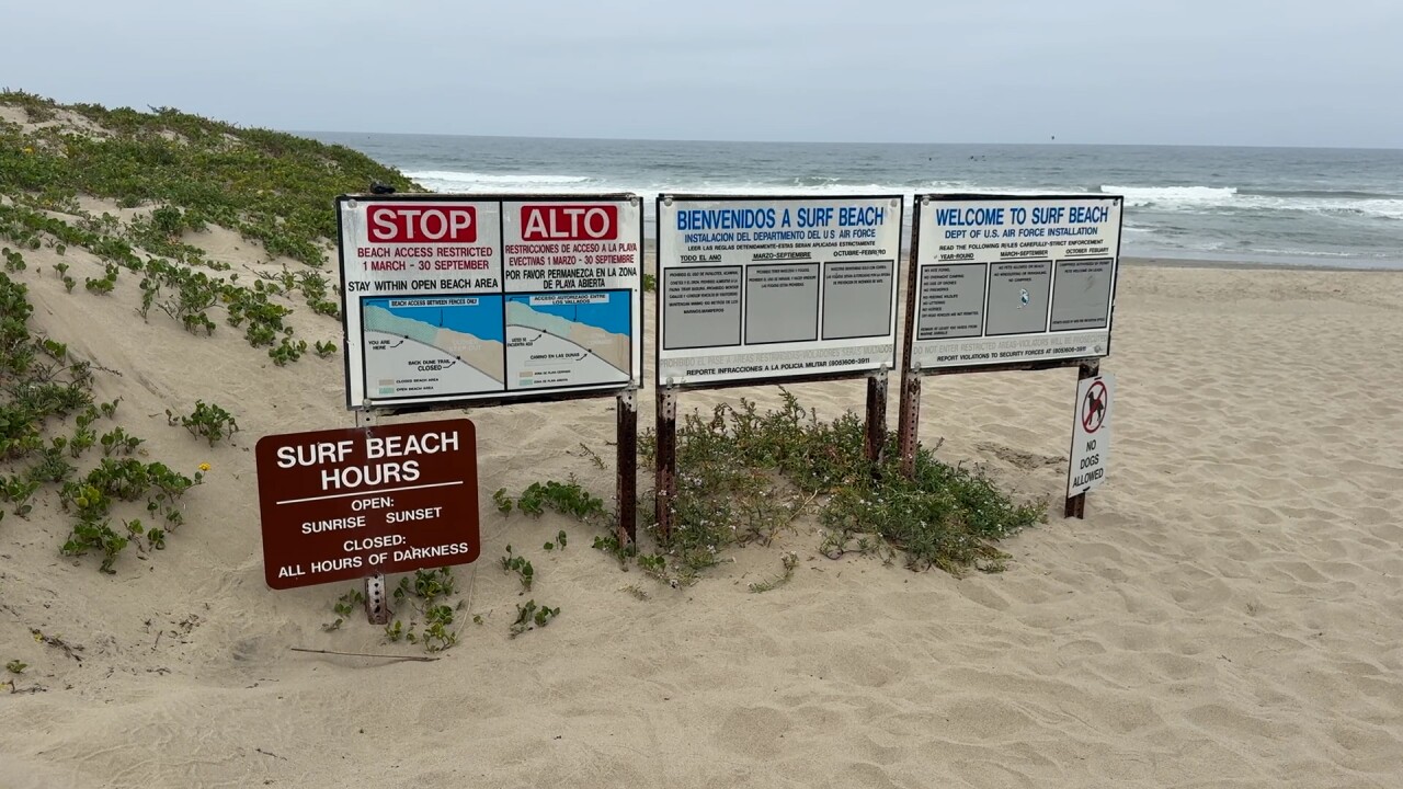 surf beach.jpg