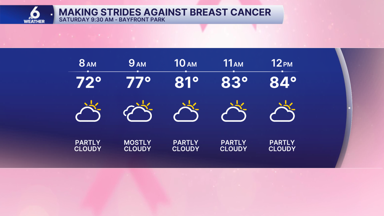 Making Strides Against Breast Cancer.png