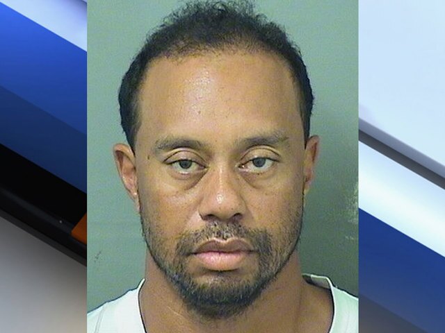 Best celebrity mug shots