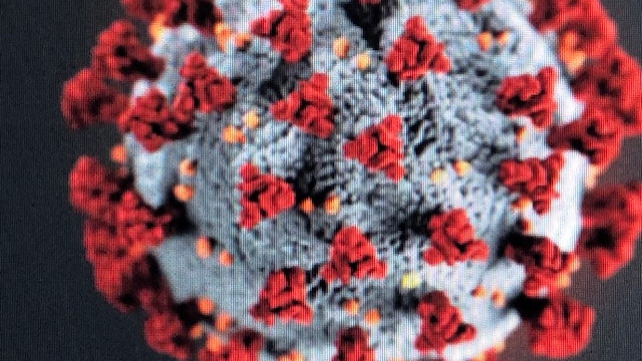 Confirmed Coronavirus Cases Surpasses 5 Million Worldwide