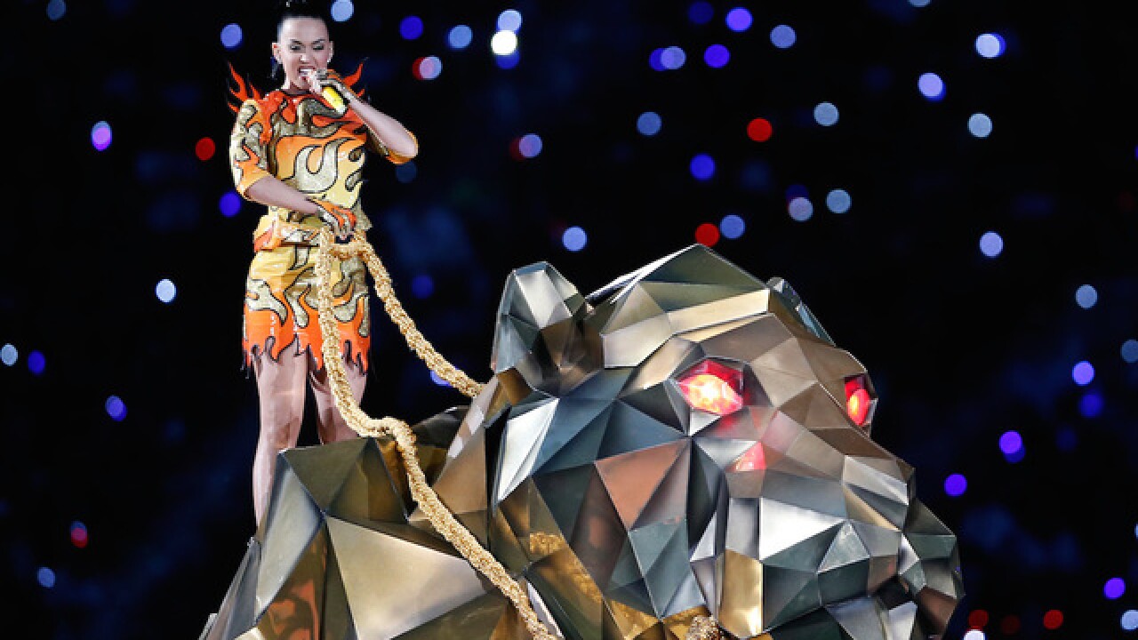 The best photos of Super Bowl XLIX