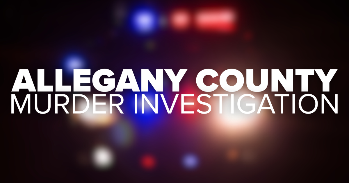 Allegany County man facing murder charge in deadly stabbing at Economy Inn Allegany County man facing murder charge in deadly stabbing at Economy Inn