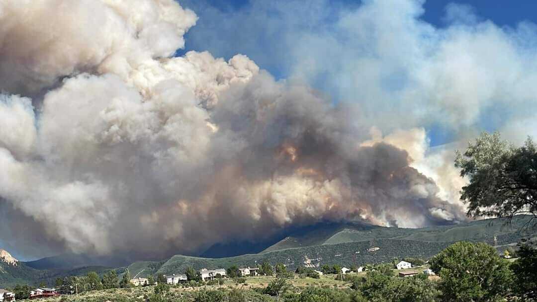 Luke Wildman Dobbs.jpeg