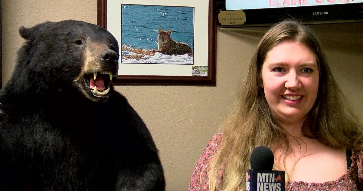 A visit to the Wildlife Museum in Chinook - Vimarsana News